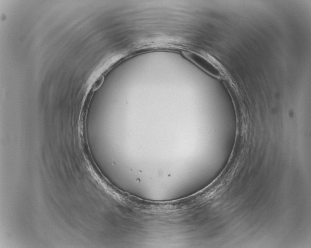 X0000053061285200508081144