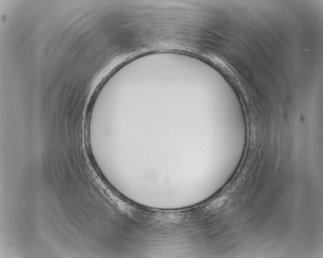 X0000053061286200508081144