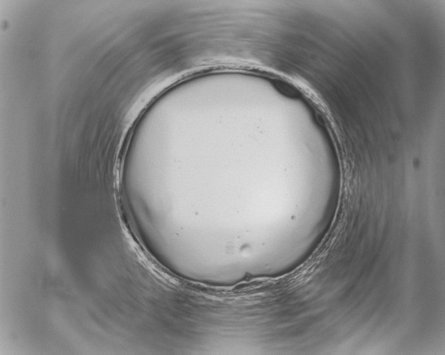 X0000053061287200508081144