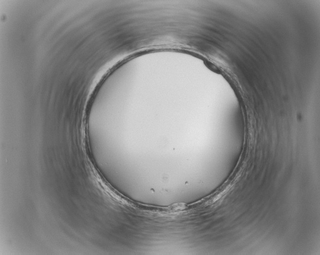 X0000053061288200508081144