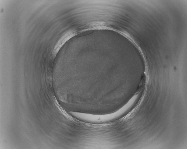 X0000053061289200508081144