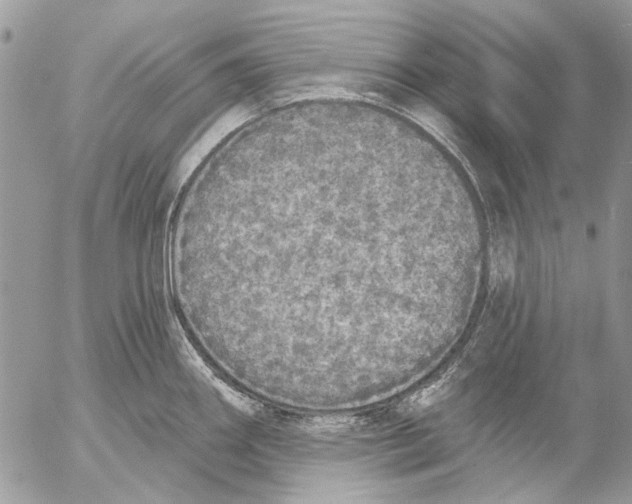 X0000053061290200508081144