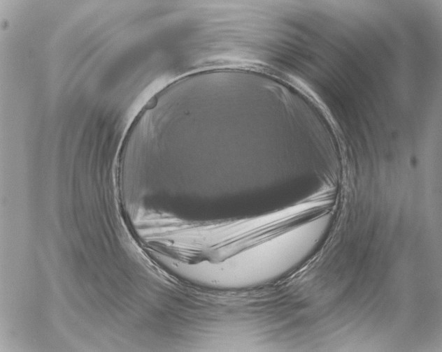 X0000053061291200508081144