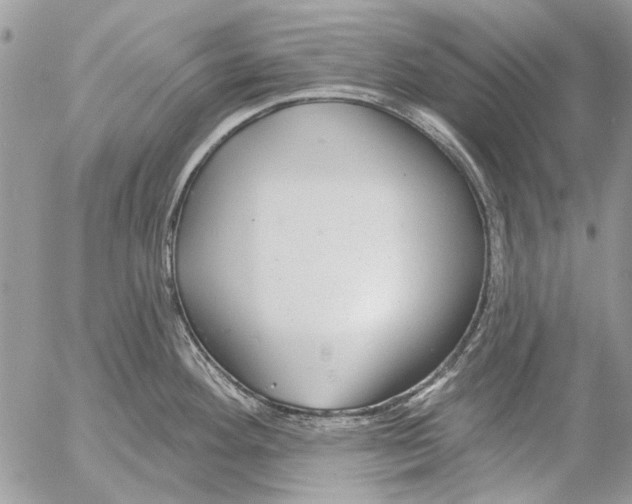 X0000053061292200508081144