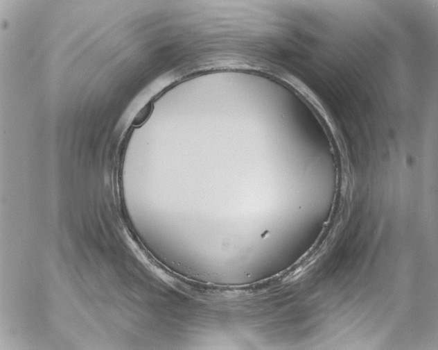 X0000053061293200508081144