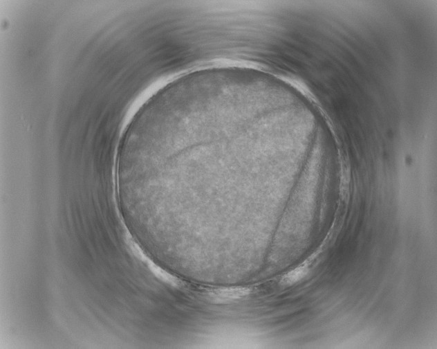 X0000053061294200508081144