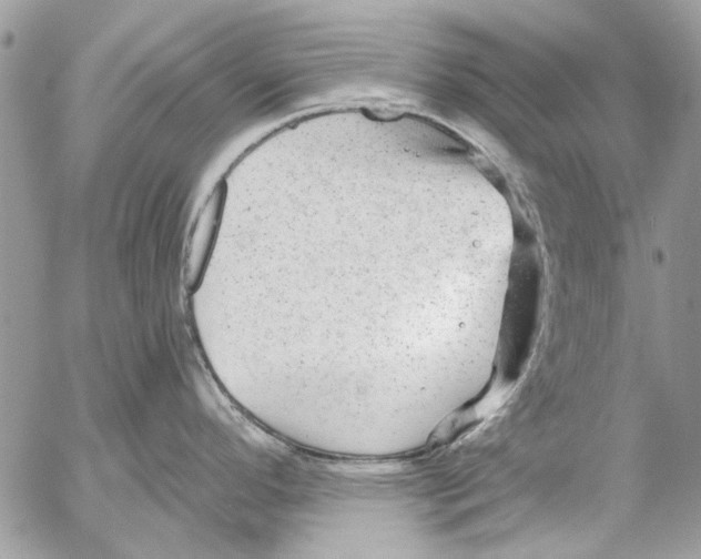 X0000053061296200508081144