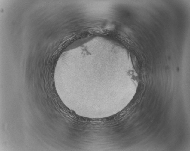 X0000053061297200508081143