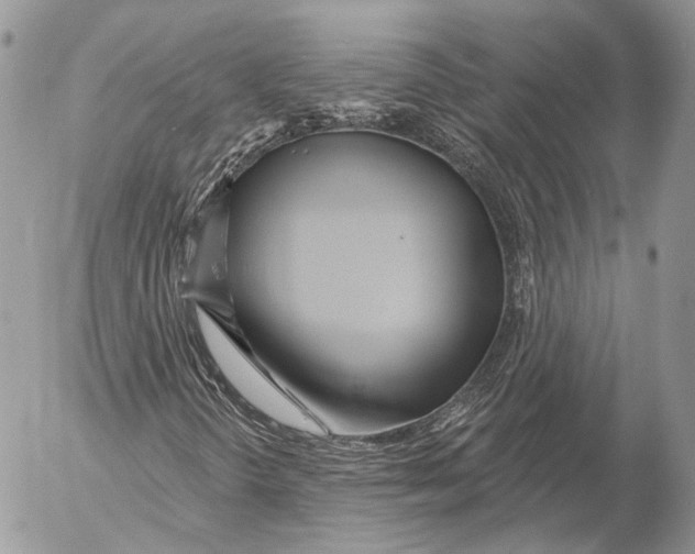 X0000053061298200508081143