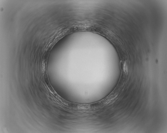 X0000053061299200508081143