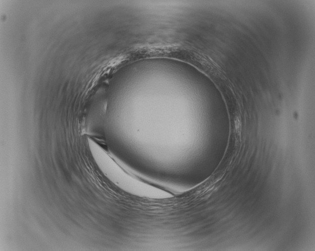 X0000053061300200508081143