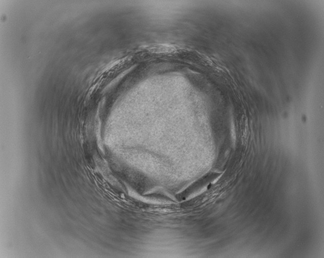 X0000053061301200508081143