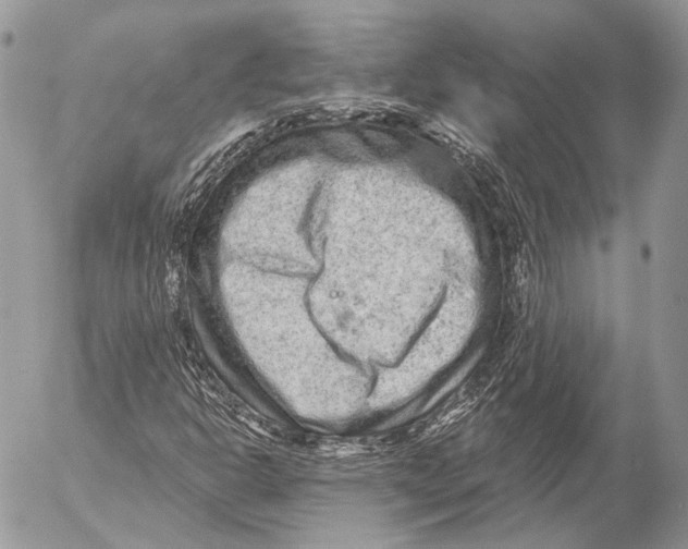 X0000053061302200508081143