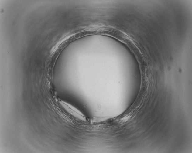 X0000053061304200508081144