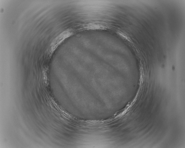 X0000053061305200508081144