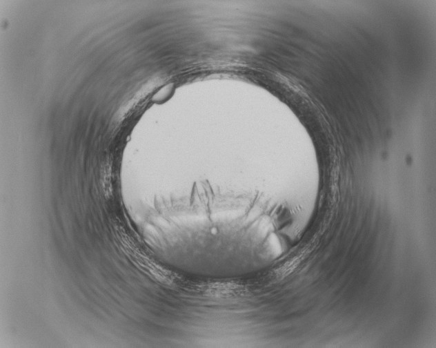 X0000053061306200508081144