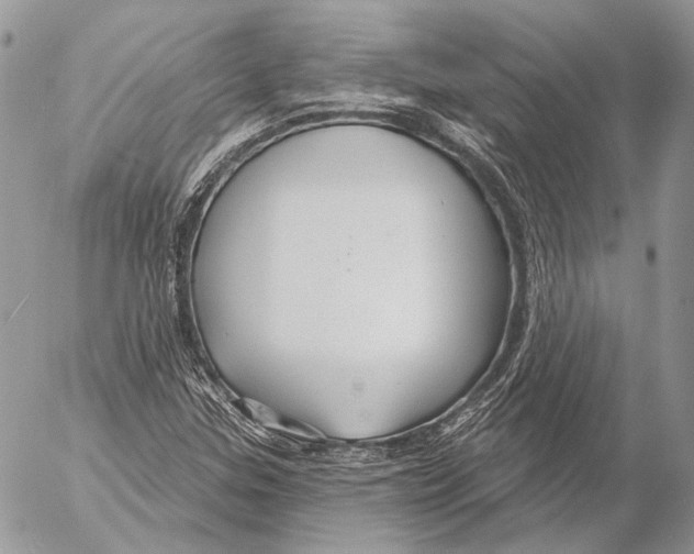 X0000053061307200508081144