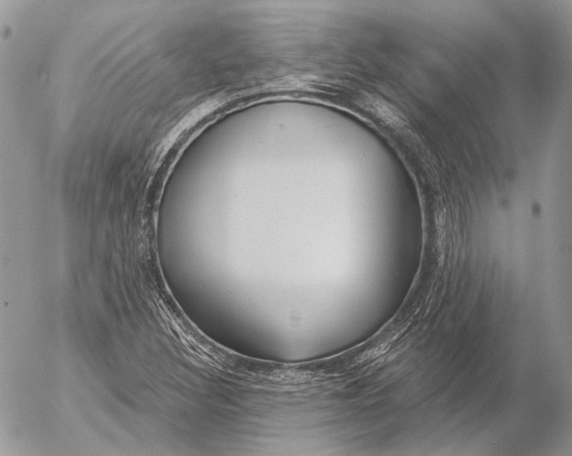 X0000053061308200508081144