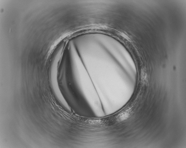 X0000053061310200508081144