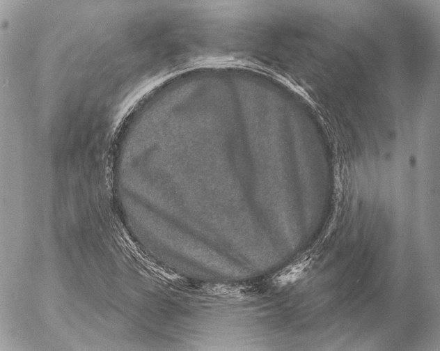 X0000053061311200508081144