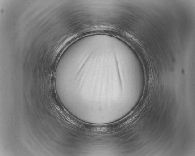 X0000053061313200508081144