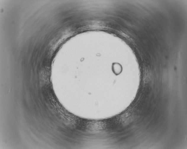 X0000053061314200508081144