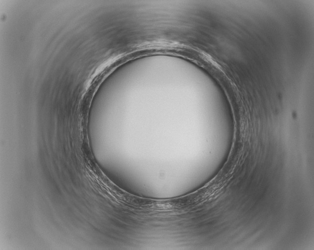 X0000053061315200508081144