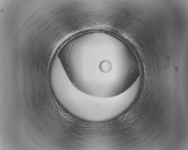 X0000053061316200508081144