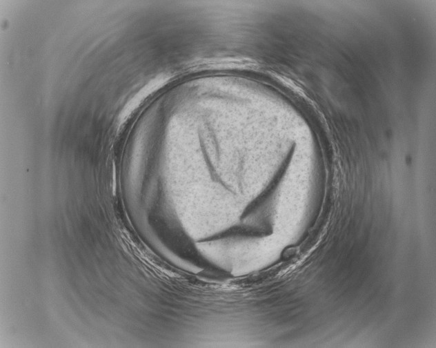 X0000053061317200508081144