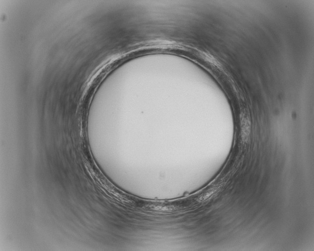 X0000053061318200508081144