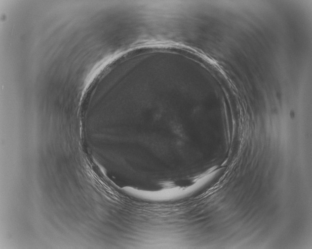 X0000053061319200508081144