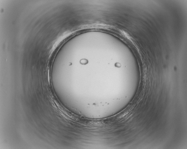 X0000053061320200508081144