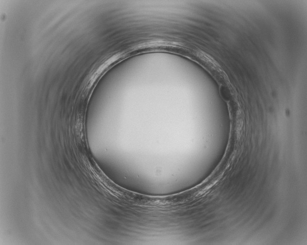 X0000053061321200508081144