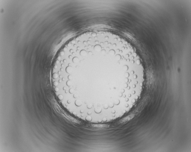 X0000053061322200508081144