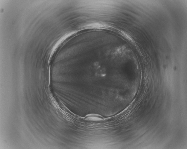 X0000053061323200508081144