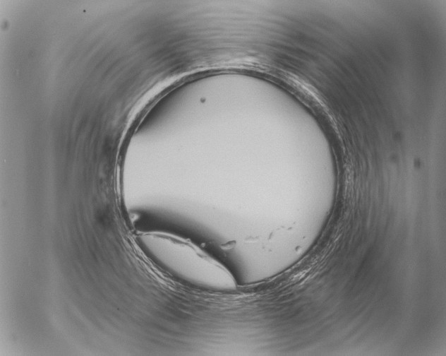 X0000053061324200508081144