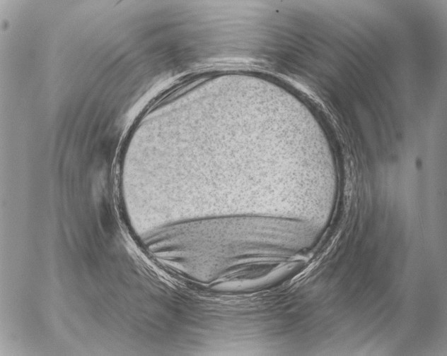 X0000053061325200508081144