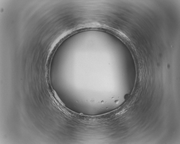 X0000053061326200508081144