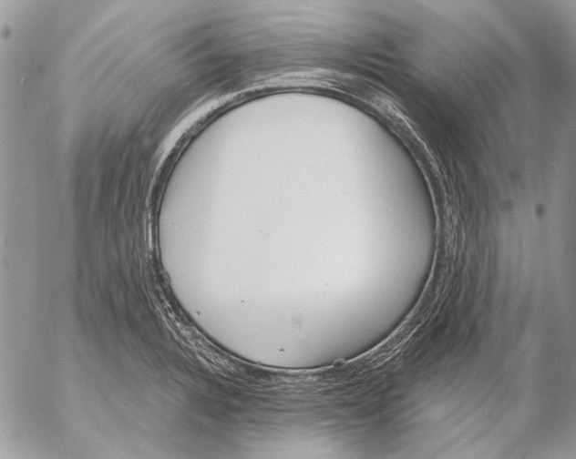 X0000053061328200508081144