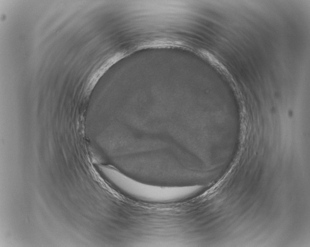 X0000053061329200508081144