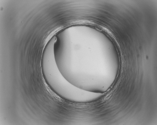 X0000053061330200508081144