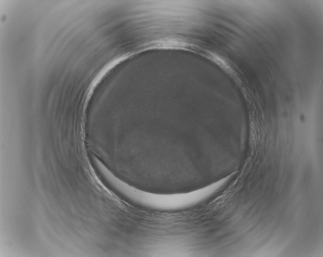 X0000053061331200508081144