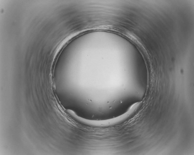 X0000053061332200508081144