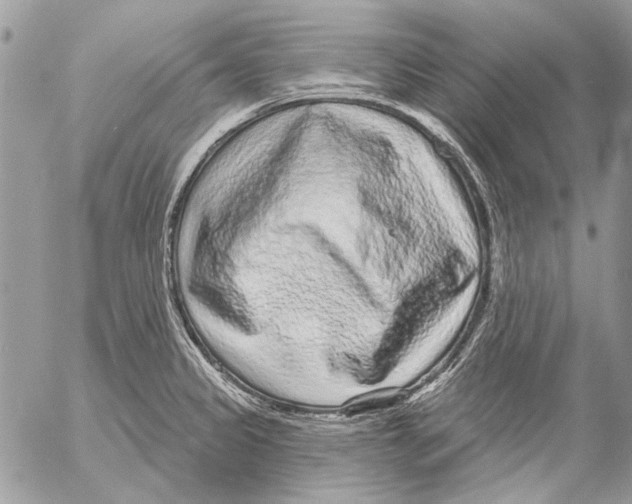 X0000053061333200508081144