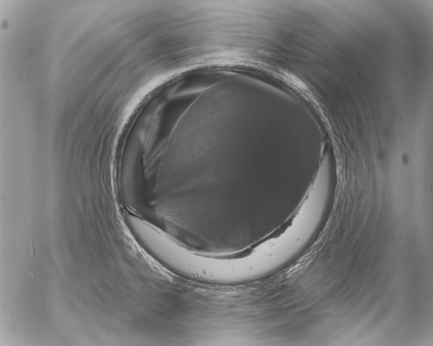 X0000053061334200508081144