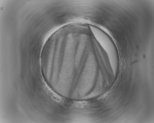 X0000053061335200508081144