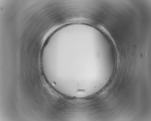 X0000053061336200508081144