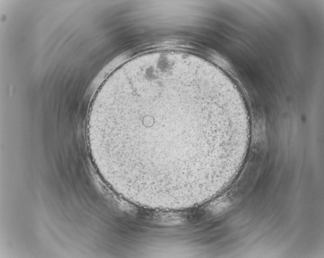 X0000053061338200508081144