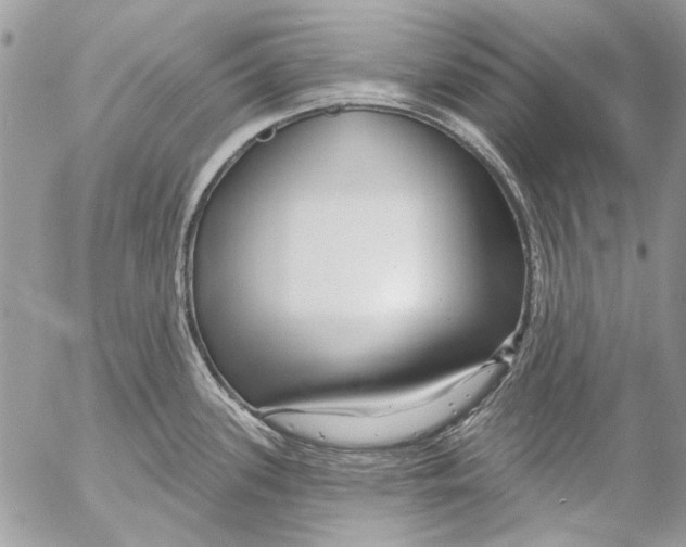 X0000053061339200508081144