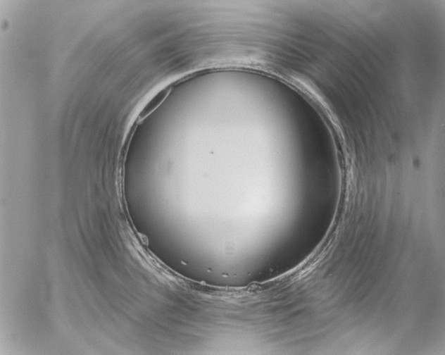 X0000053061340200508081144